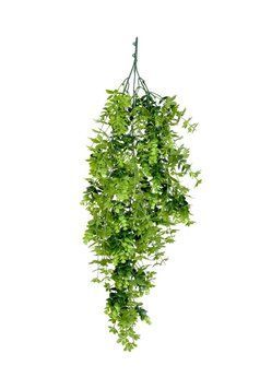 Штучна гілка Engard "Eucalyptus", 65cм AV-03 AV-03 фото