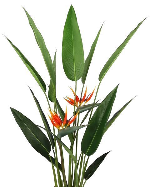 Искусственное растение Strelitzia 140 см Engard DW-09 DW-09 фото