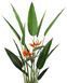 Искусственное растение Strelitzia 140 см Engard DW-09 DW-09 фото 3