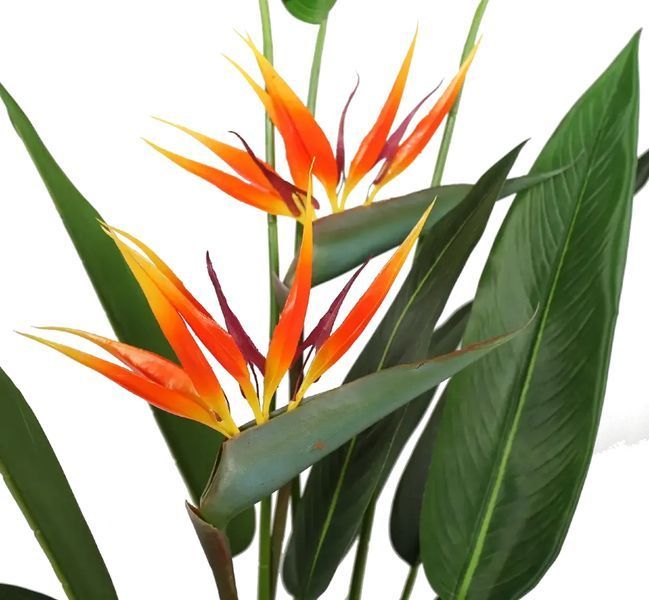 Искусственное растение Strelitzia 140 см Engard DW-09 DW-09 фото