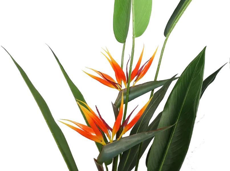 Искусственное растение Strelitzia 140 см Engard DW-09 DW-09 фото