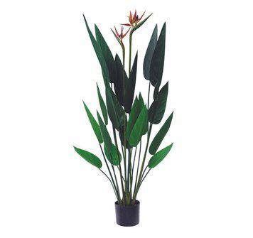Штучна рослина Strelitzia, 120 см Engard TW-25 TW-25 фото