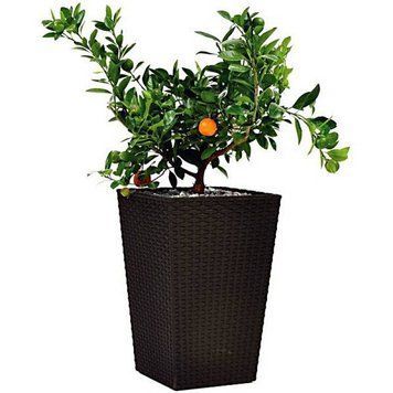 Горщик для квітів Large Rattan Planter коричневий Keter 7290103659295 фото