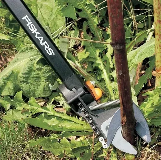 Универсальный садовый сучкорез-высоторез Fiskars UP84 1001557 1001557 фото