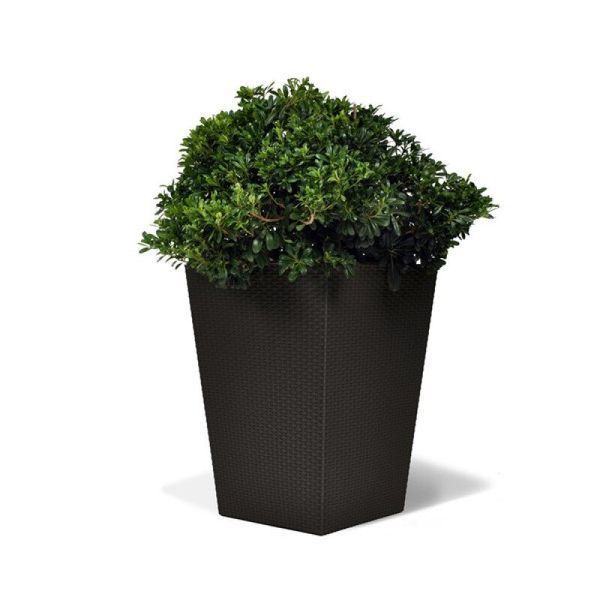 Цветочный горшок Large Rattan Planter коричневый Keter 7290103659295 фото