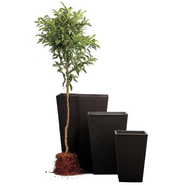 Цветочный горшок Large Rattan Planter коричневый Keter 7290103659295 фото