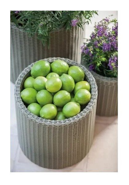 Горщик для квітів Keter Large Cylinder Planter мокко 224151 224151 фото