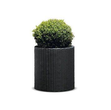 Горщик для квітів Keter Medium Cylinder Planter антрацит 229123 229123 фото