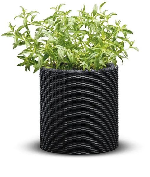 Горщик для квітів Keter Medium Cylinder Planter антрацит 229123 229123 фото