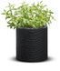 Горщик для квітів Keter Medium Cylinder Planter антрацит 229123 229123 фото 4