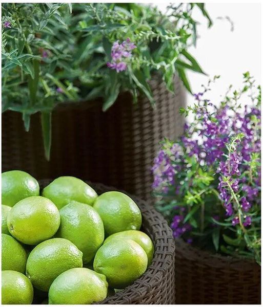Цветочный горшок Keter Medium Cylinder Planter коричневый 223941 223941 фото