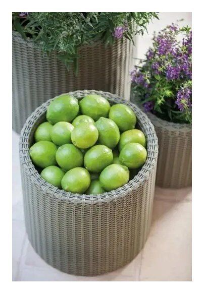 Цветочный горшок Keter Medium Cylinder planter мокко 224150 224150 фото