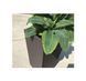 Горщик для квітів Keter Ratta Planter S 23.6л коричневий 228977 228977 фото 6
