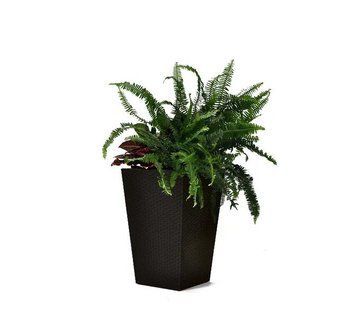 Горщик для квітів Keter Rattan Planter M 55.4л графіт 228974 228974 фото