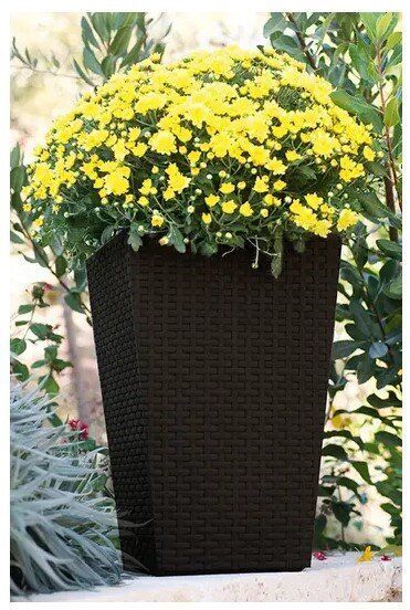 Цветочный горшок Keter Rattan Planter M 55.4л графит 228974 228974 фото