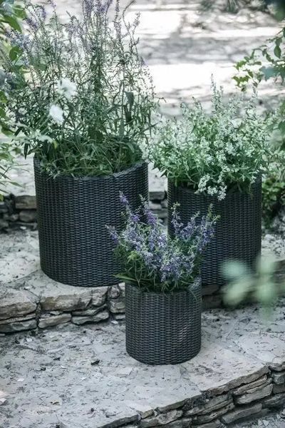 Комплект кашпо для квітів Keter Cylinder Planters S + M + L антрацит 230217 230217 фото