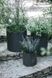 Комплект кашпо для квітів Keter Cylinder Planters S + M + L антрацит 230217 230217 фото 3