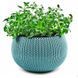 Горшок для растений Cozies M бирюзовый Keter 7290106928411 фото 8