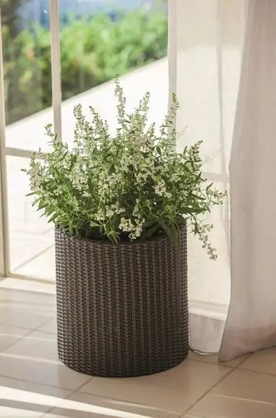 Комплект кашпо для квітів Keter Cylinder Planters S + M + L коричневий 220455 220455 фото