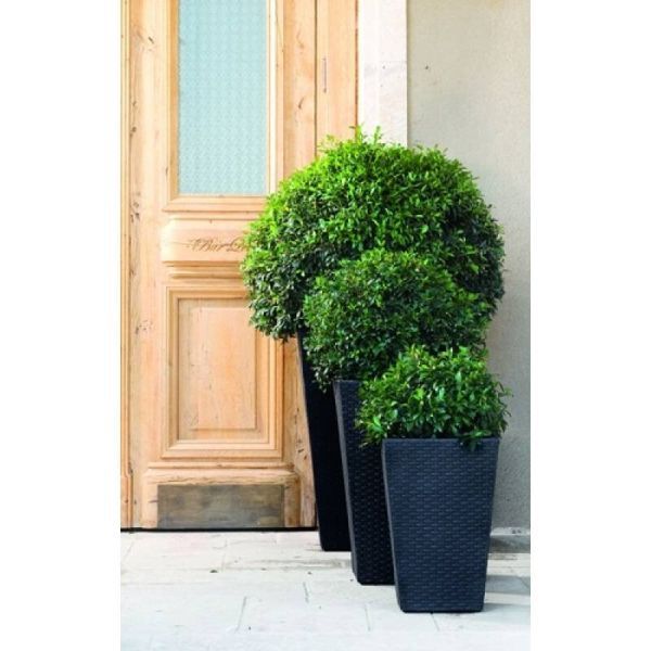 Горщик для квітів Medium Rattan Planter сірий Keter 7290103659288 фото