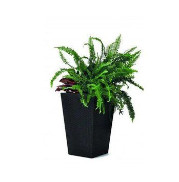 Горщик для квітів Keter Rattan Planter S 23.6л антрацит 228978 228978 фото