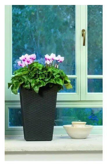 Цветочный горшок Keter Rattan Planter S 23.6л антрацит 228978 228978 фото