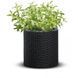 Цветочный горшок Keter Small Cylinder Planter антрацит 229120 229120 фото 2
