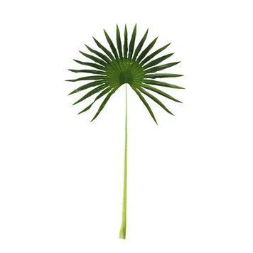 Штучне листя Fan Palm 98 см Engard DW-32 DW-32 фото