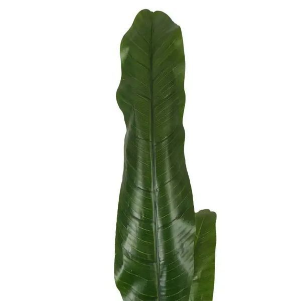 Искусственное растение Banana Tree 140 см Engard DW-08 DW-08 фото