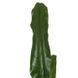 Искусственное растение Banana Tree 140 см Engard DW-08 DW-08 фото 7