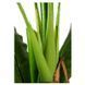 Искусственное растение Banana Tree 140 см Engard DW-08 DW-08 фото 4