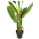 Искусственное растение Banana Tree 140 см Engard DW-08 DW-08 фото 2