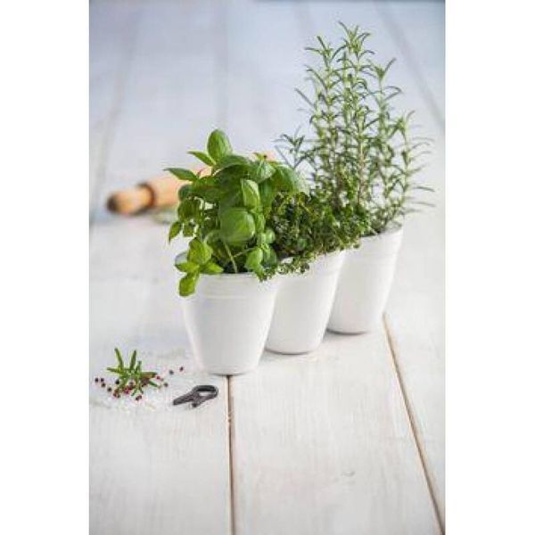 Горшок для растений Ivy Herbs белый Keter 7290103668112 фото