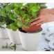 Горшок для растений Ivy Herbs белый Keter 7290103668112 фото 4