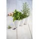 Горшок для растений Ivy Herbs белый Keter 7290103668112 фото 2