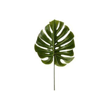Штучне листя Monstera світлий 87 см Engard DW-39 DW-39 фото