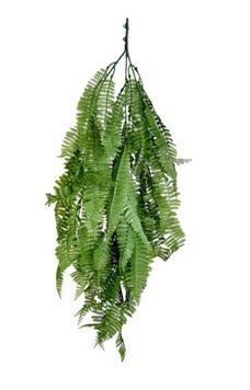 Штучна гілка Engard "Persian fern", 65cм AV-01 AV-01 фото