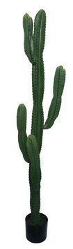Штучна рослина Engard Cactus 155 cм TW-40 TW-40 фото