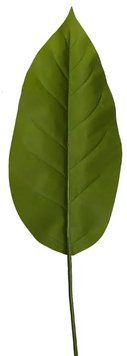 Штучне листя Spathiphyllum 65 см Engard DW-33 DW-33 фото