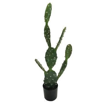 Штучна рослина Engard Cactus 75 cм TW-41 TW-41 фото