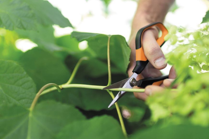 Ножиці Fiskars Solid Softgrip SP15 1051602 1051602 фото