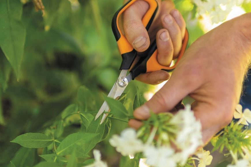 Ножиці Fiskars Solid Softgrip SP15 1051602 1051602 фото