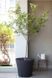 Горщик для квітів Keter Conic Planter 56.5л антрацит 231356 231356 фото 2