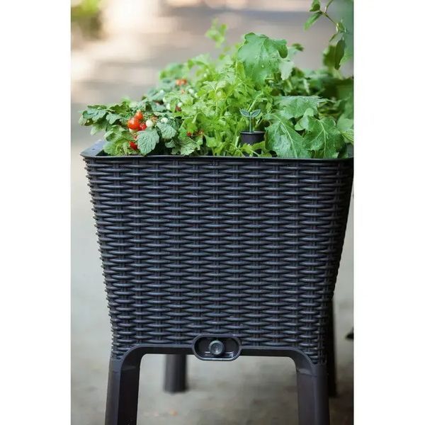 Горщик для квітів Keter Easy Grow графіт 230298 230298 фото