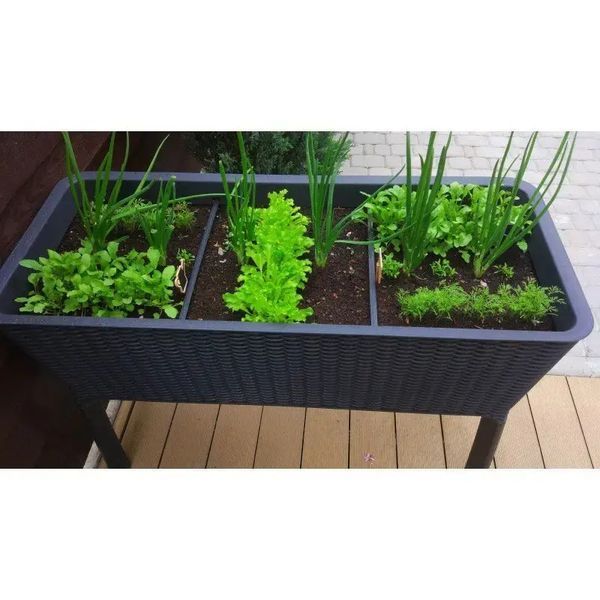 Горщик для квітів Keter Easy Grow графіт 230298 230298 фото