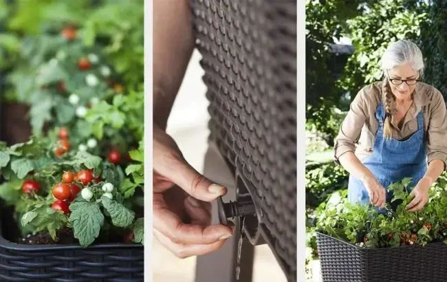 Горщик для квітів Keter Easy Grow графіт 230298 230298 фото