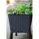 Горщик для квітів Keter Easy Grow графіт 230298 230298 фото 6