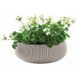 Горщик для рослин COZIES L Keter 7290106931961 7290106931961 фото 1