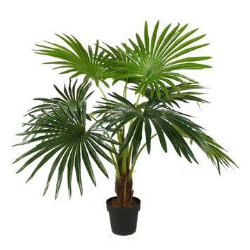 Штучна рослина Fan Palm 120 см Engard DW-27 DW-27 фото
