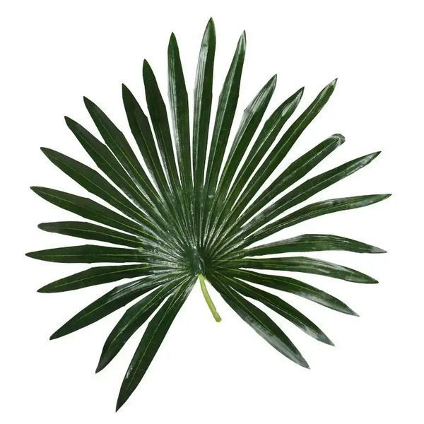 Штучна рослина Fan Palm 120 см Engard DW-27 DW-27 фото